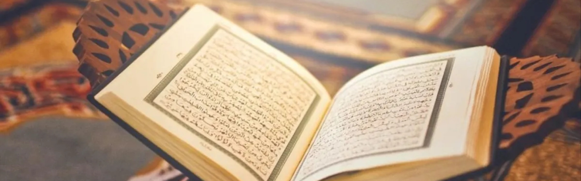 أكاديمية سلطان العلماء